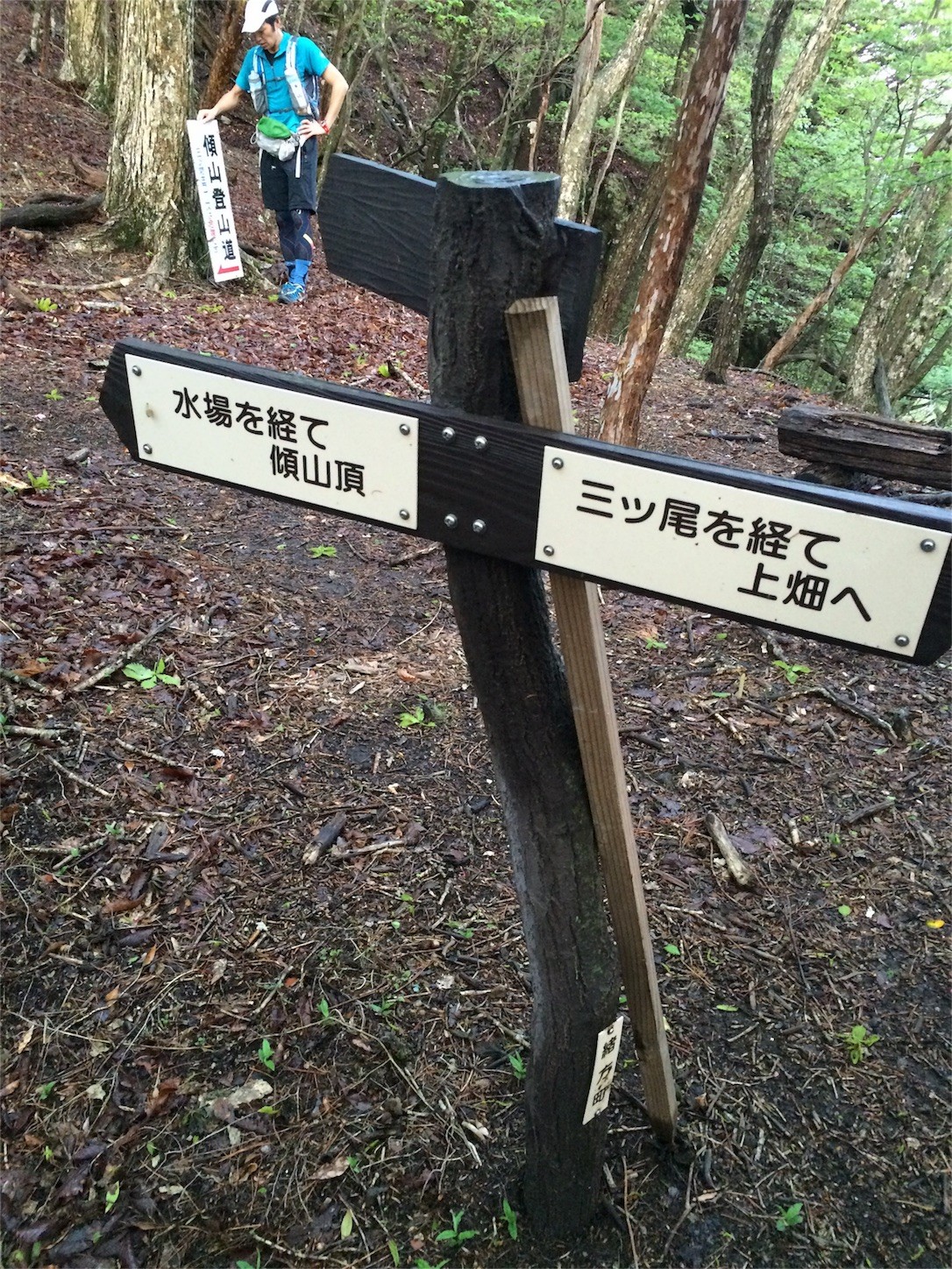 f:id:yurius_r:20160616123255j:image f:id:yurius_r:20160616123255j:image