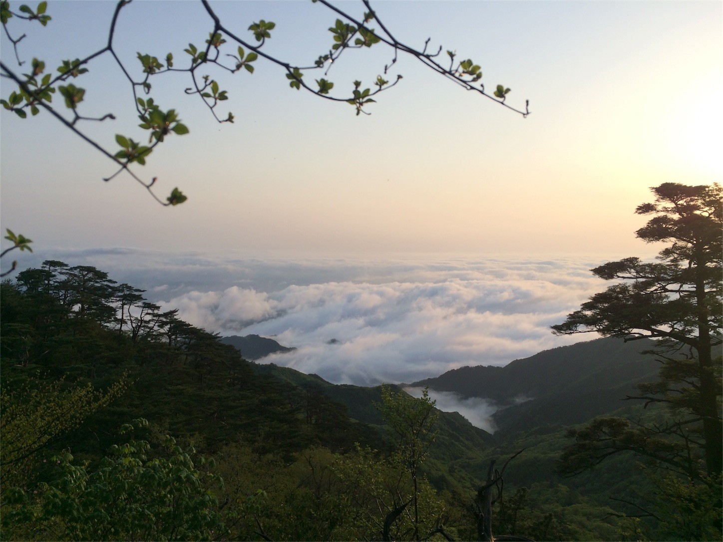 f:id:yurius_r:20160616123757j:image f:id:yurius_r:20160616123757j:image