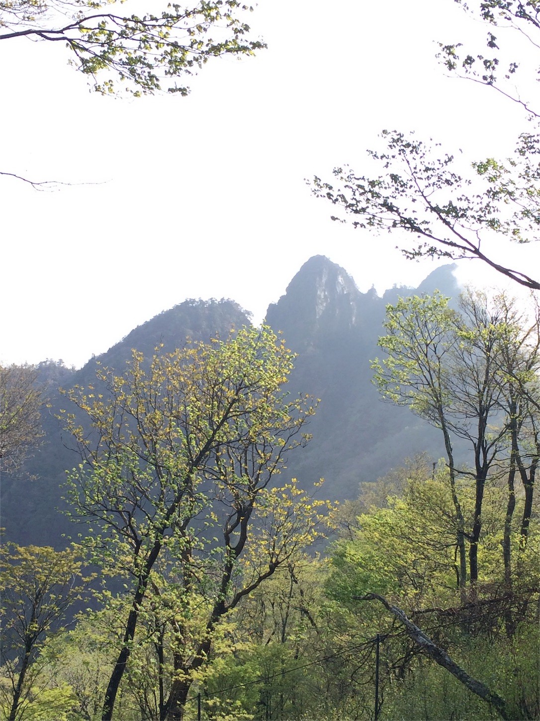 f:id:yurius_r:20160616150443j:image f:id:yurius_r:20160616150443j:image