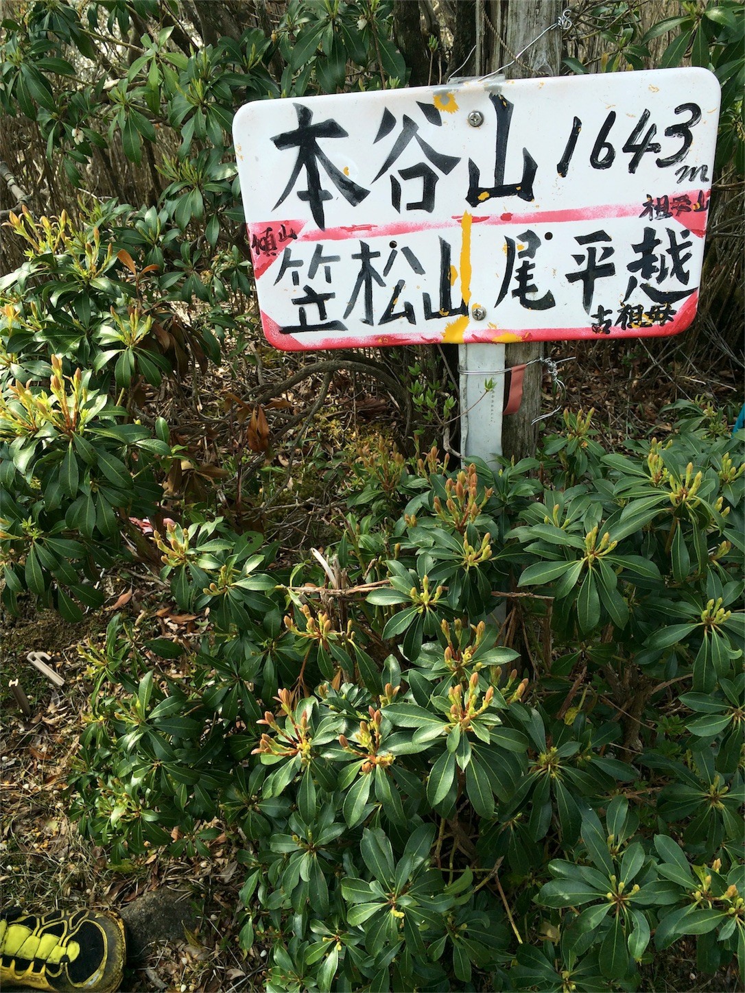 f:id:yurius_r:20160616150841j:image f:id:yurius_r:20160616150841j:image