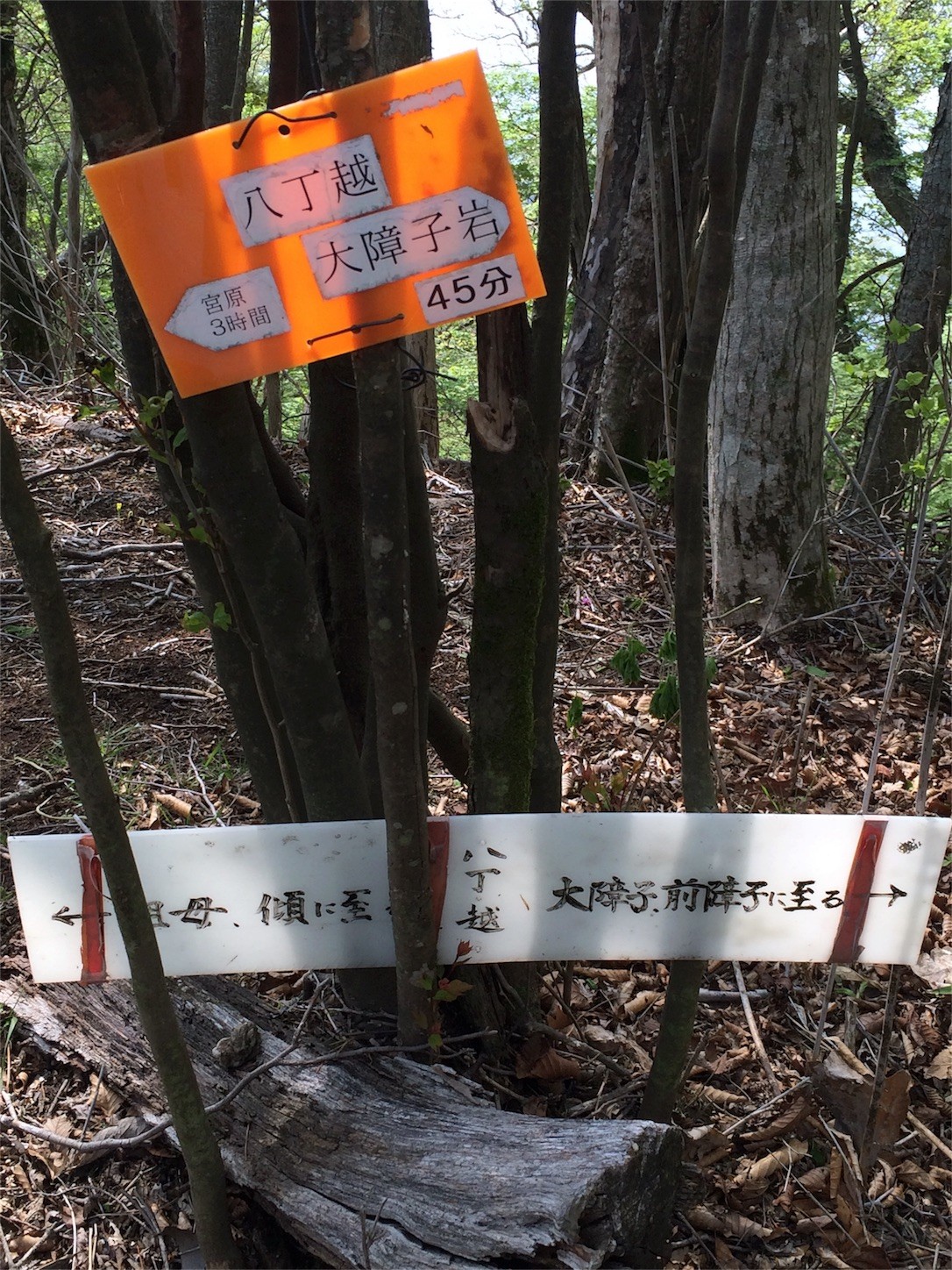 f:id:yurius_r:20160618072609j:image f:id:yurius_r:20160618072609j:image