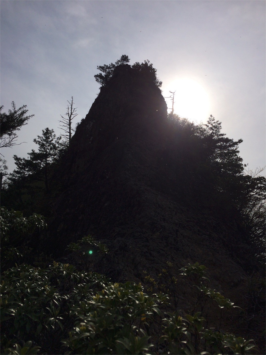 f:id:yurius_r:20160622151152j:image f:id:yurius_r:20160622151152j:image