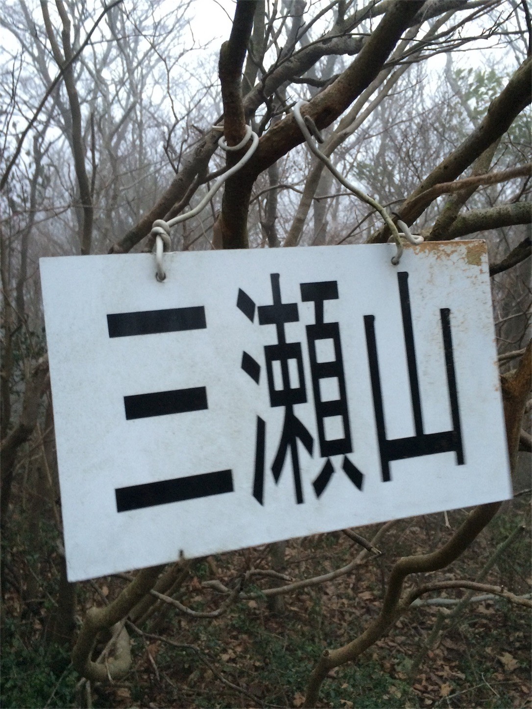 f:id:yurius_r:20160623085930j:image f:id:yurius_r:20160623085930j:image