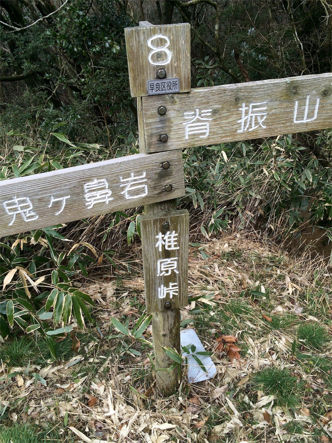f:id:yurius_r:20160623091543j:image f:id:yurius_r:20160623091543j:image