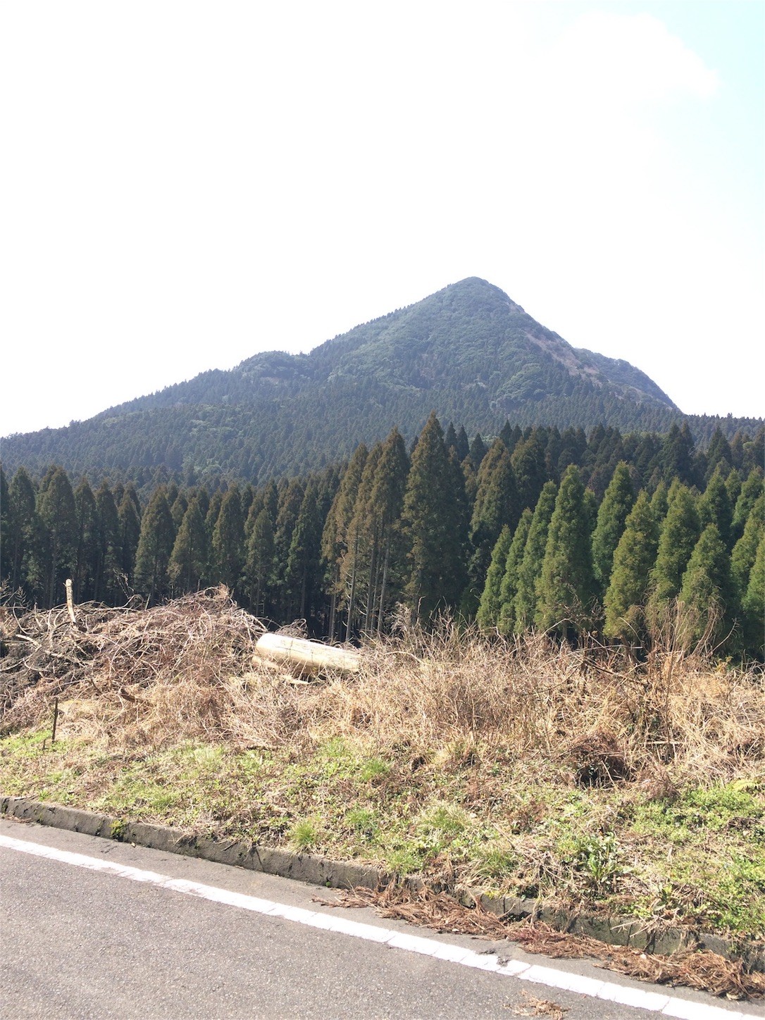 f:id:yurius_r:20160708123048j:image f:id:yurius_r:20160708123048j:image