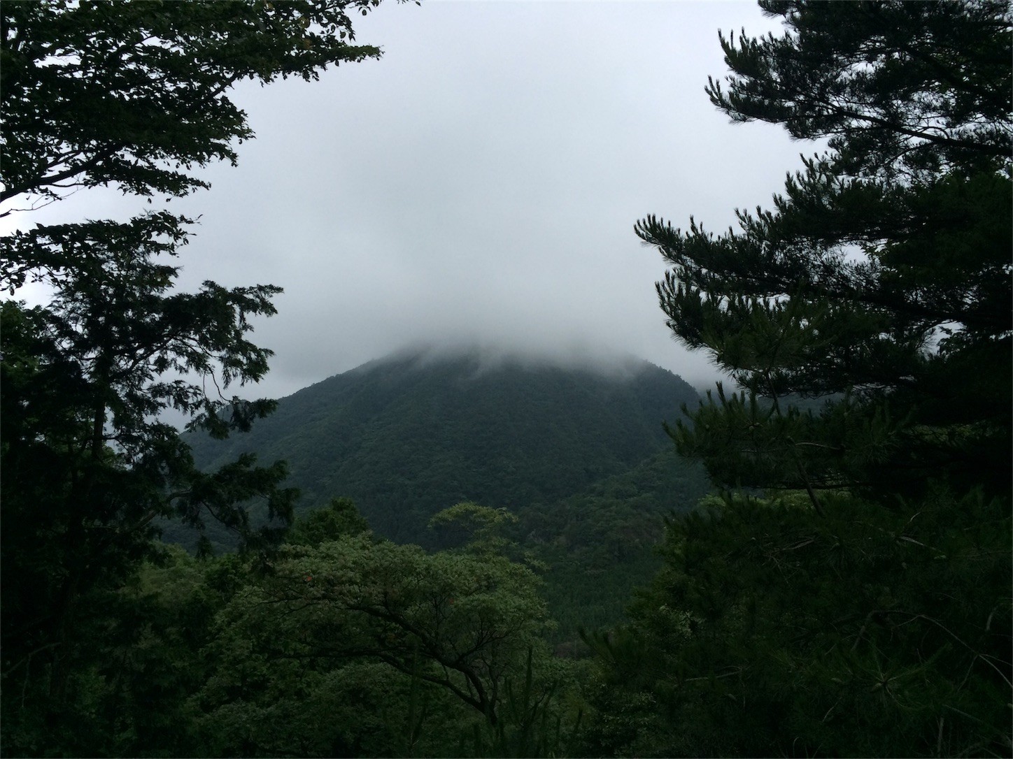 f:id:yurius_r:20161006000503j:image f:id:yurius_r:20161006000503j:image