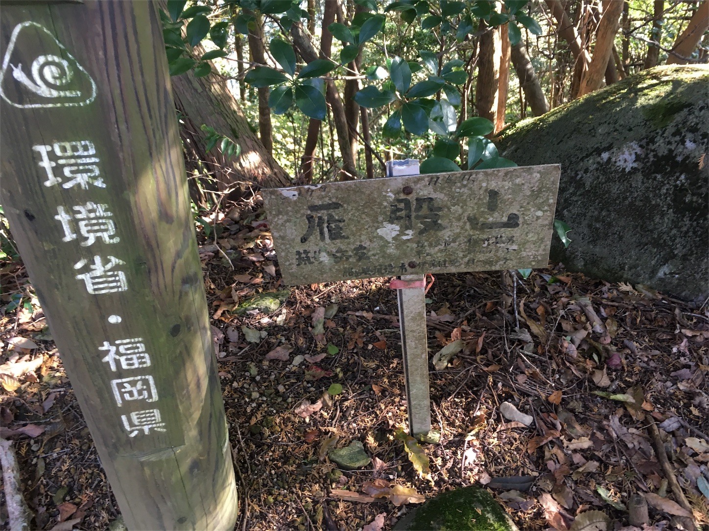 f:id:yurius_r:20161113214026j:image f:id:yurius_r:20161113214026j:image