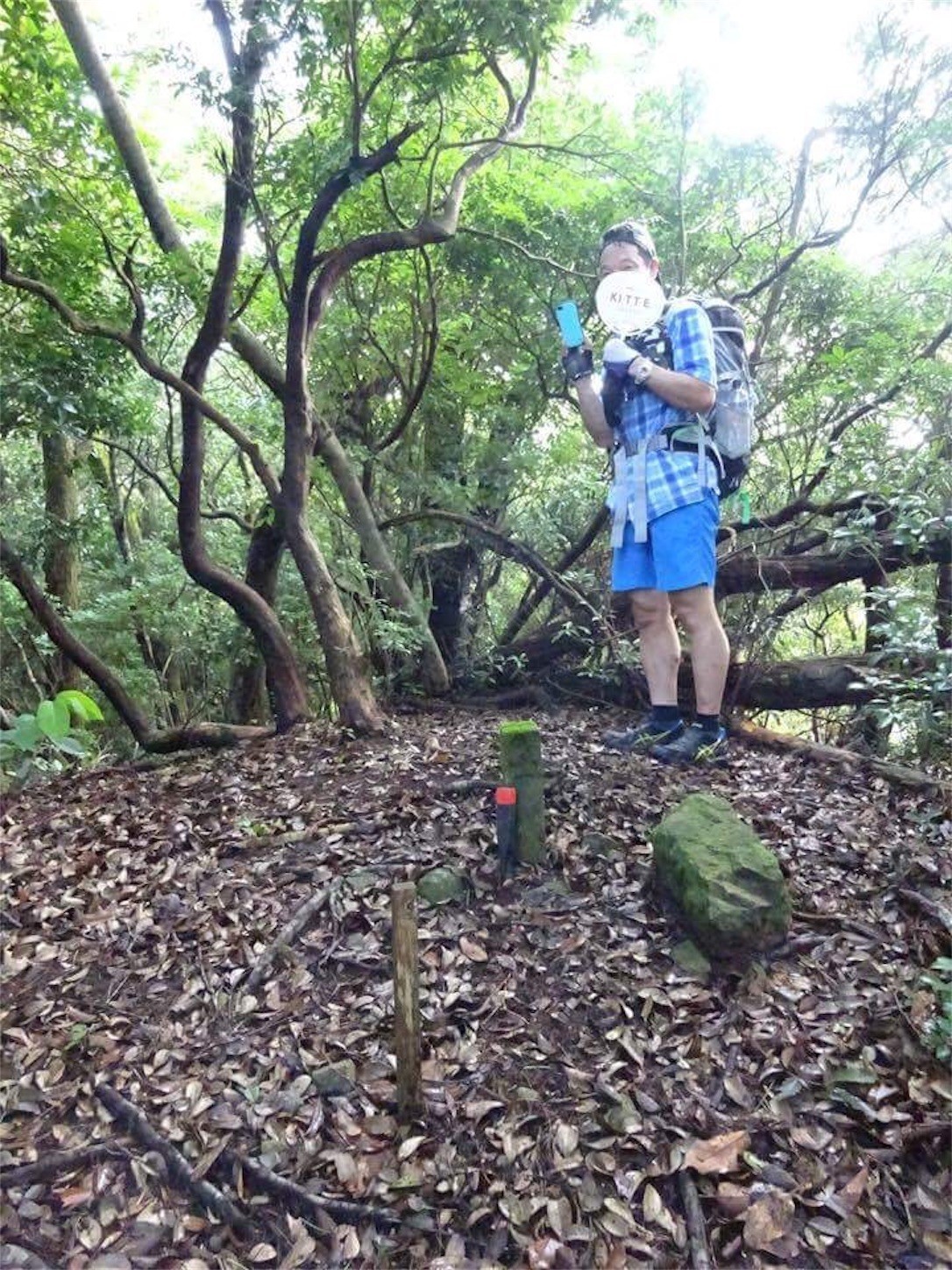 f:id:yurius_r:20170818120019j:image f:id:yurius_r:20170818120019j:image