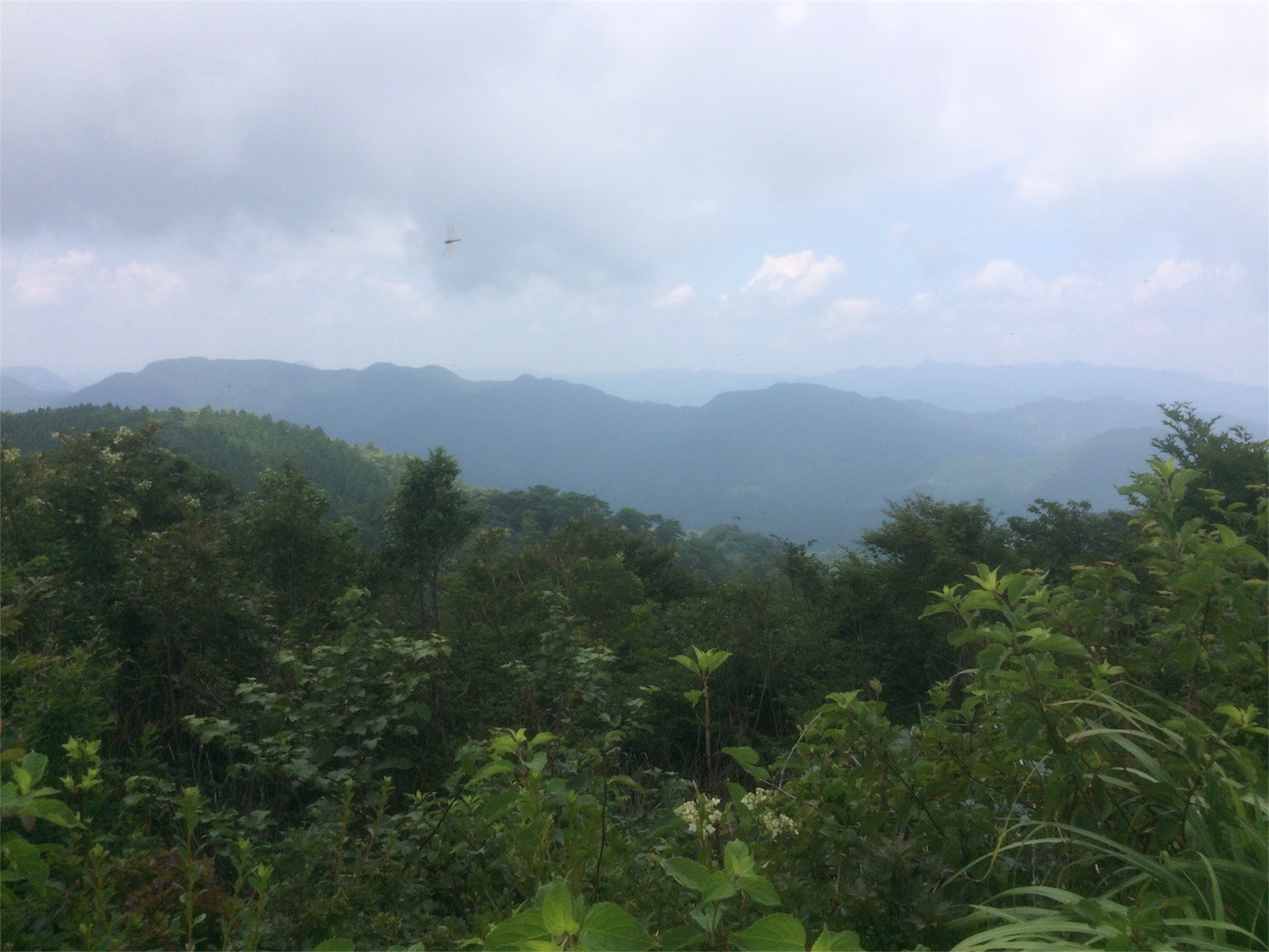 f:id:yurius_r:20170818132613j:image f:id:yurius_r:20170818132613j:image