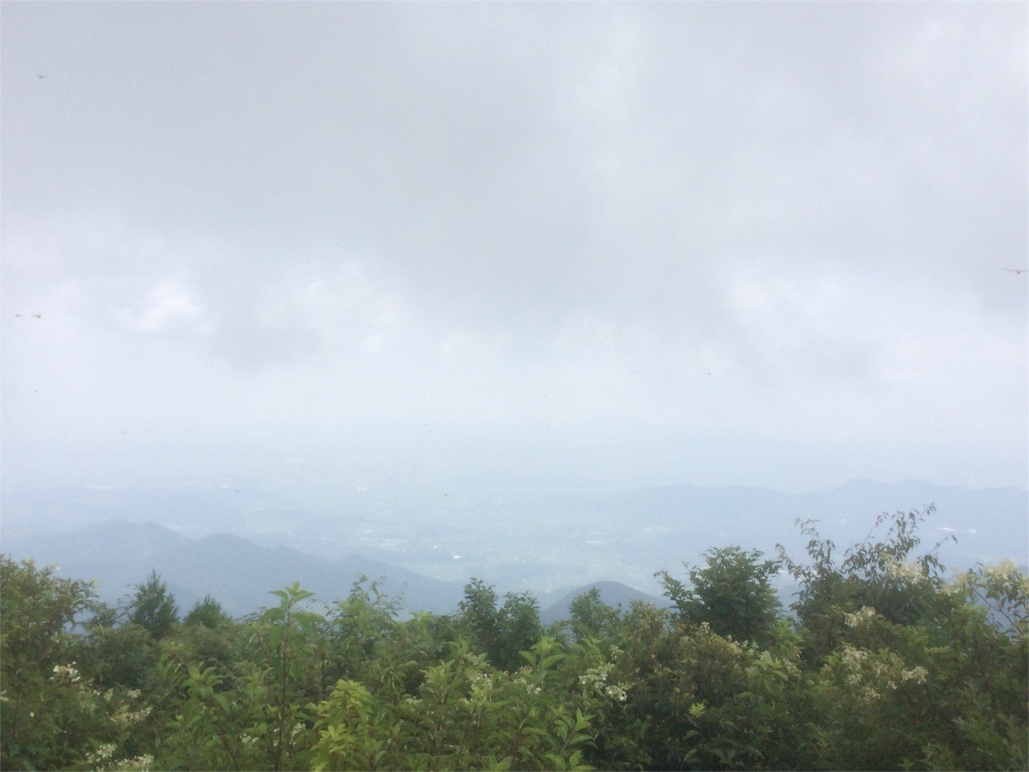 f:id:yurius_r:20170818132646j:image f:id:yurius_r:20170818132646j:image