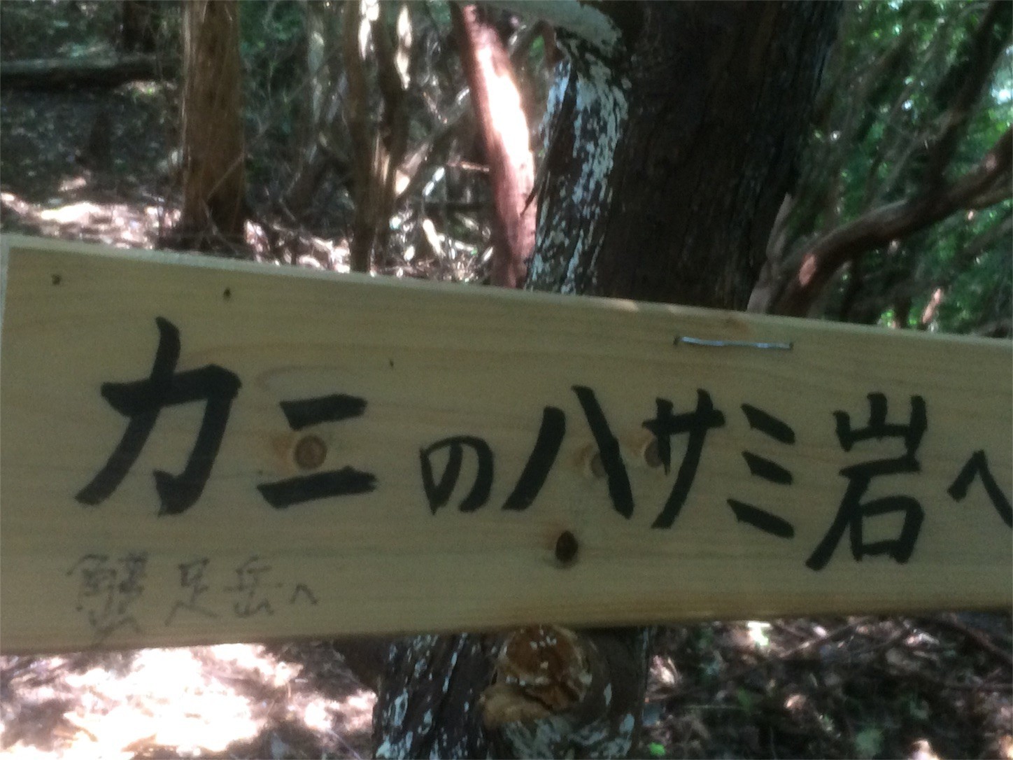 f:id:yurius_r:20170818133131j:image f:id:yurius_r:20170818133131j:image