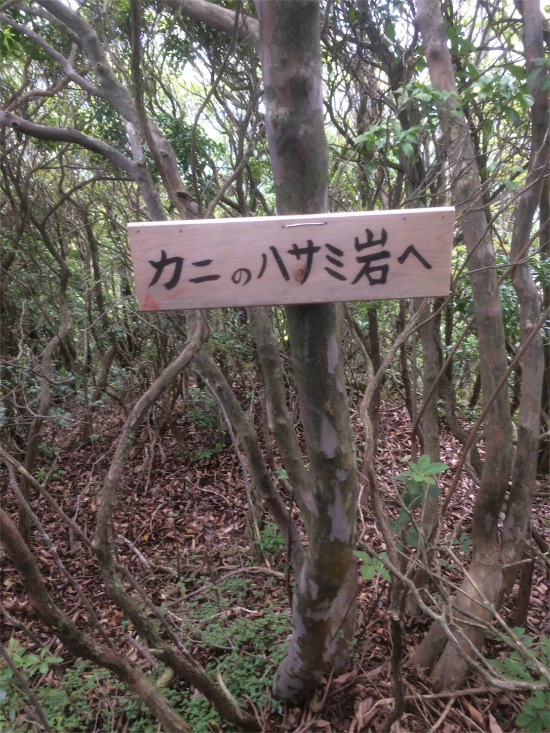 f:id:yurius_r:20170818133233j:image f:id:yurius_r:20170818133233j:image