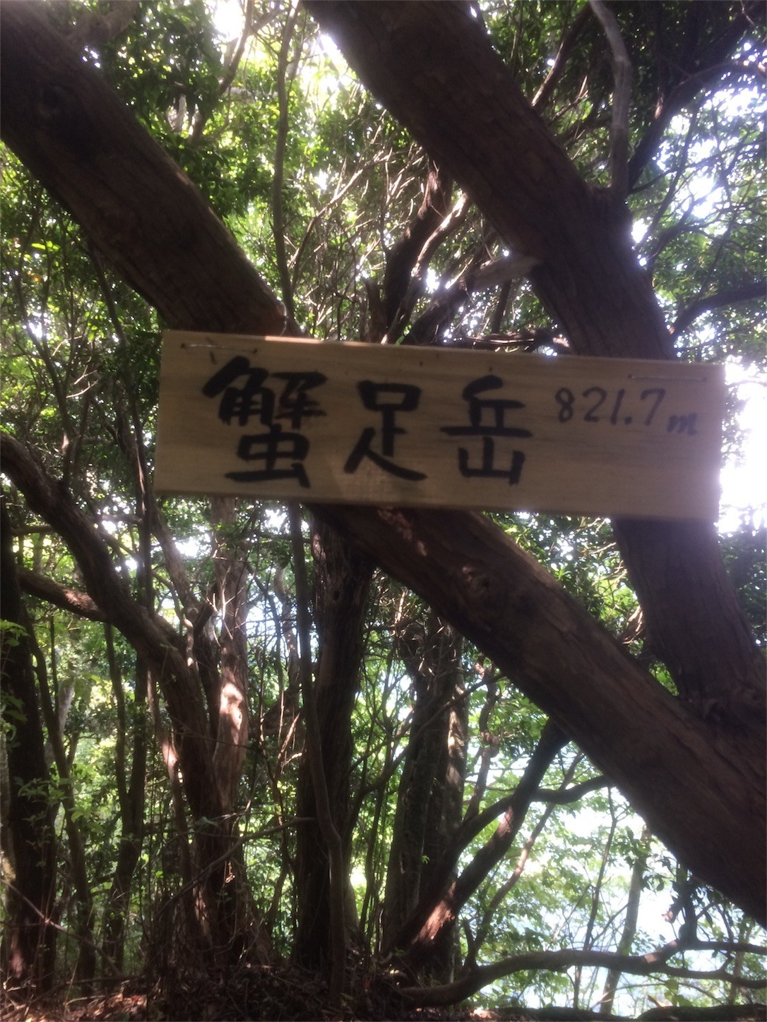 f:id:yurius_r:20170818133330j:image f:id:yurius_r:20170818133330j:image