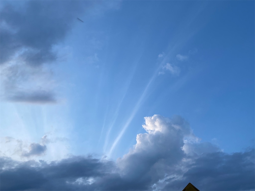 f:id:yurkyanchan:20211118132511j:image f:id:yurkyanchan:20211118132511j:image