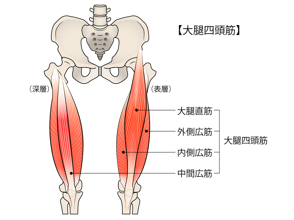 f:id:yuru-fit:20201106094722j:plain