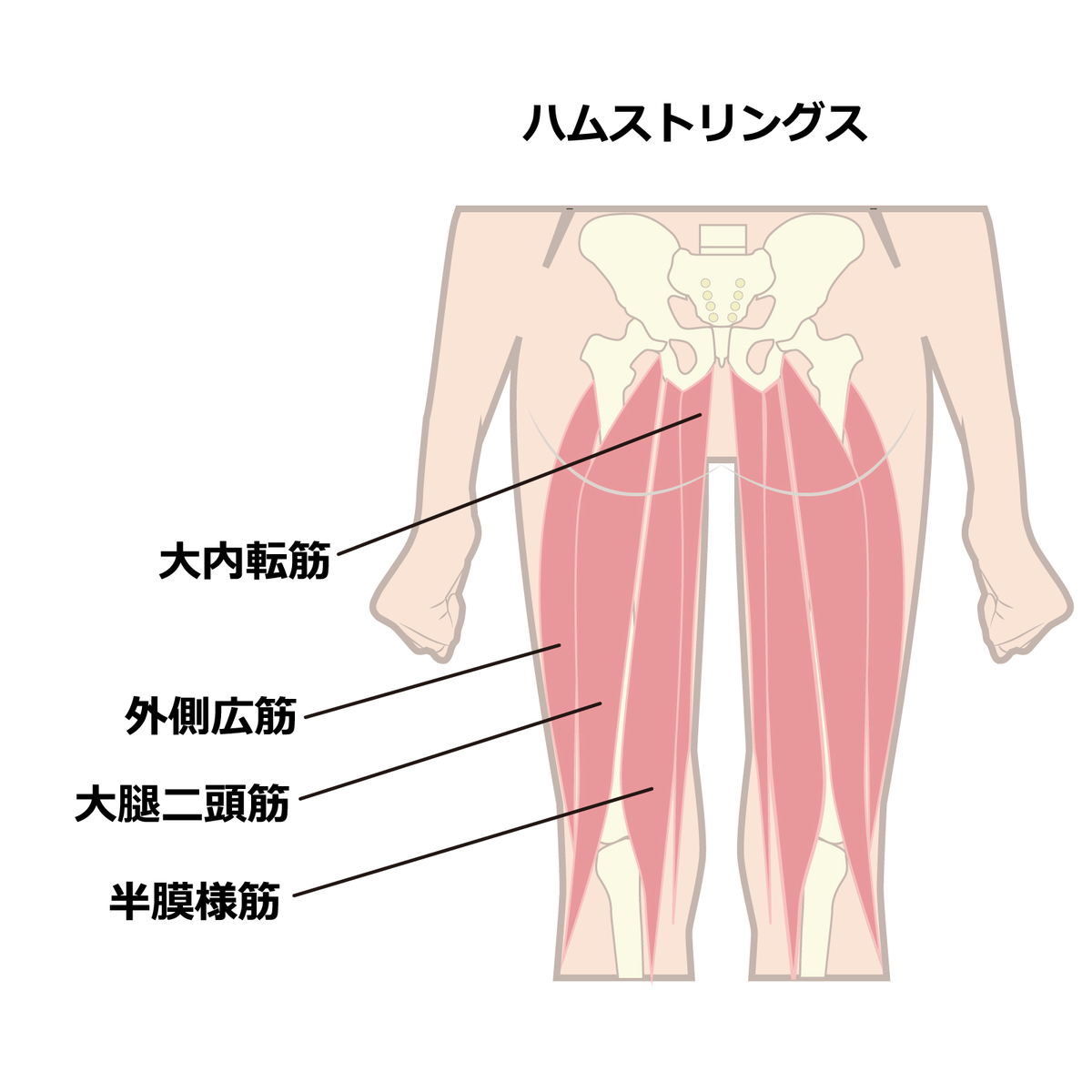 f:id:yuru-fit:20201107103724j:plain