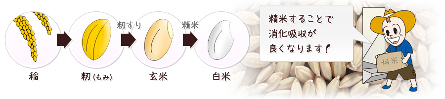 f:id:yuru-fit:20210109210138j:plain