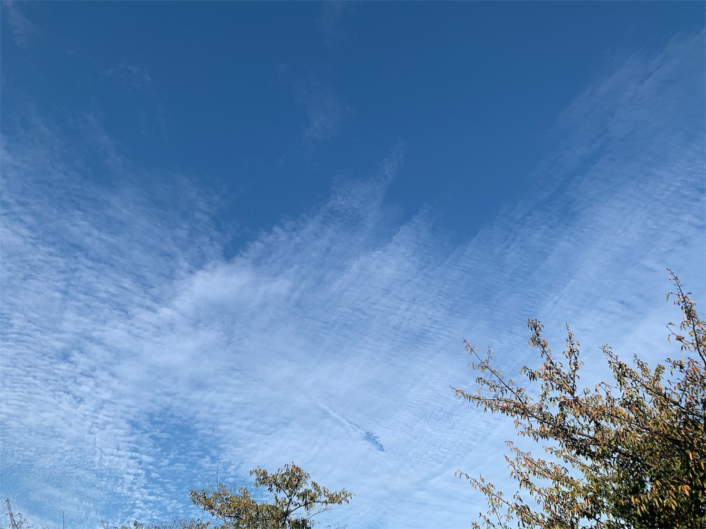 f:id:yuruawachan:20191030162327j:image