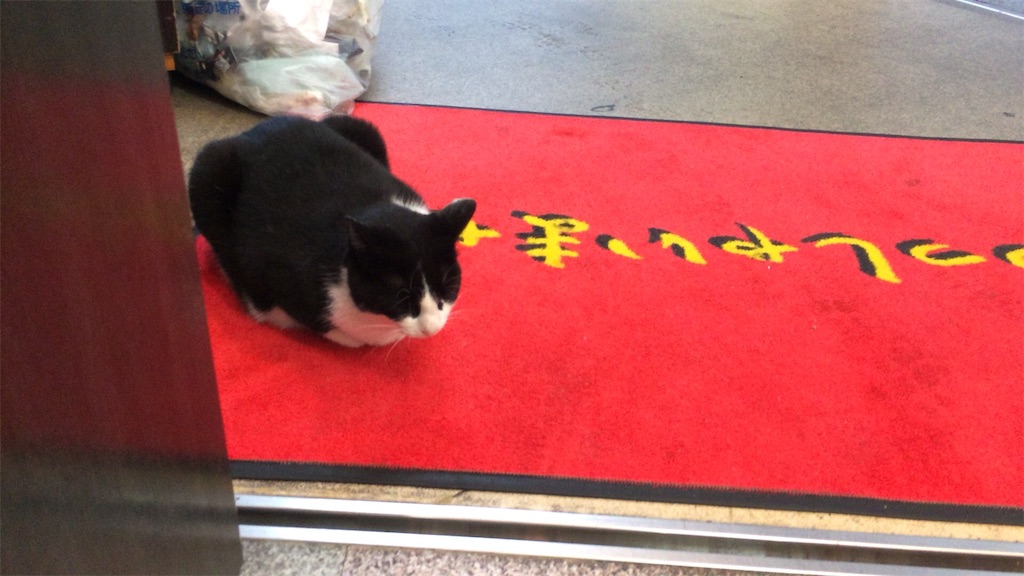 f:id:yurucat:20161003181046j:image f:id:yurucat:20161003181046j:image