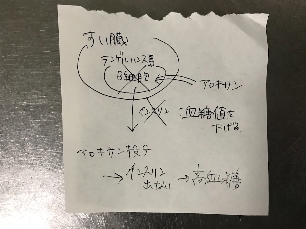 f:id:yurucat:20201019145931j:image