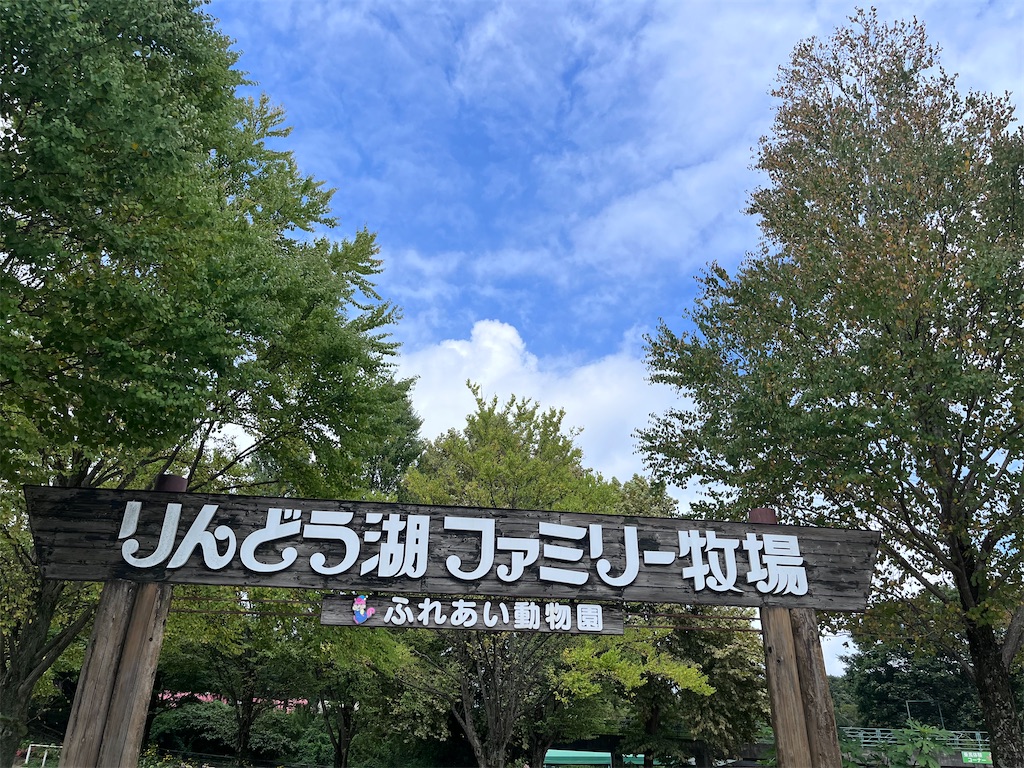 f:id:yurucat:20250103223233j:image