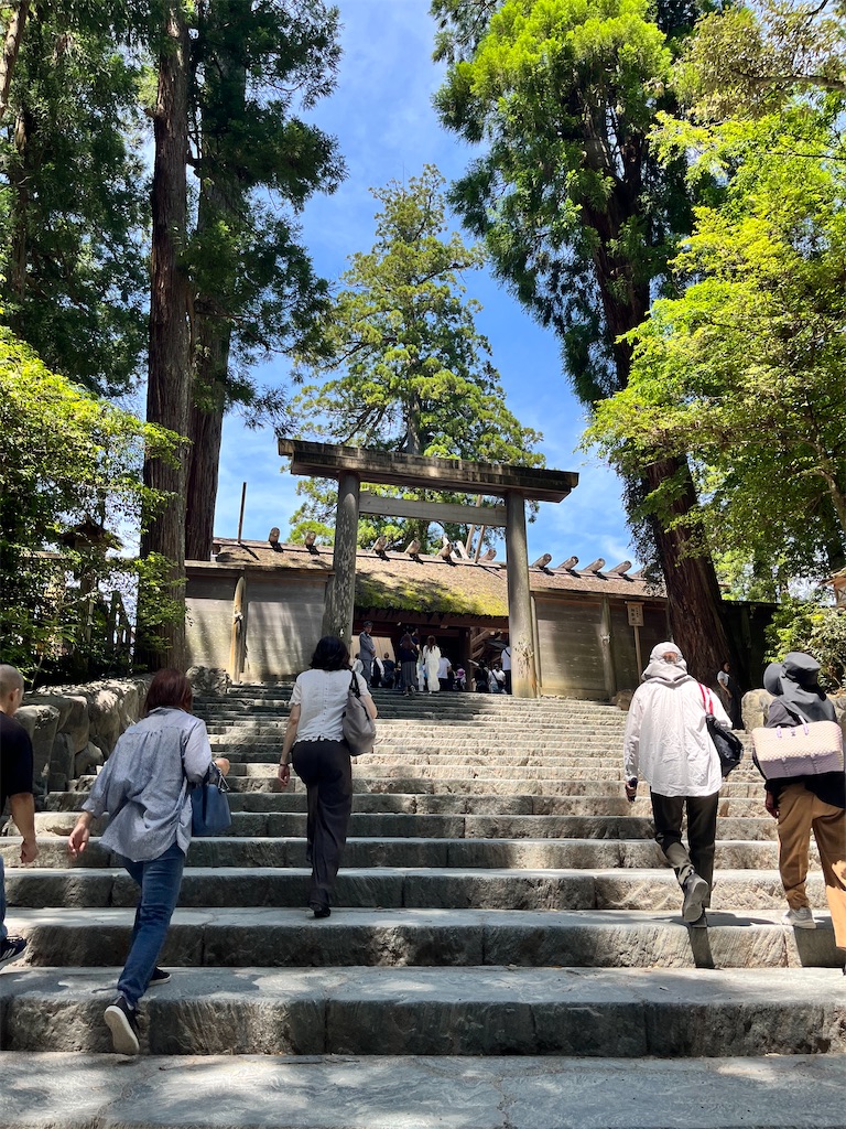 f:id:yurucat:20260603115049j:image f:id:yurucat:20260603115049j:image