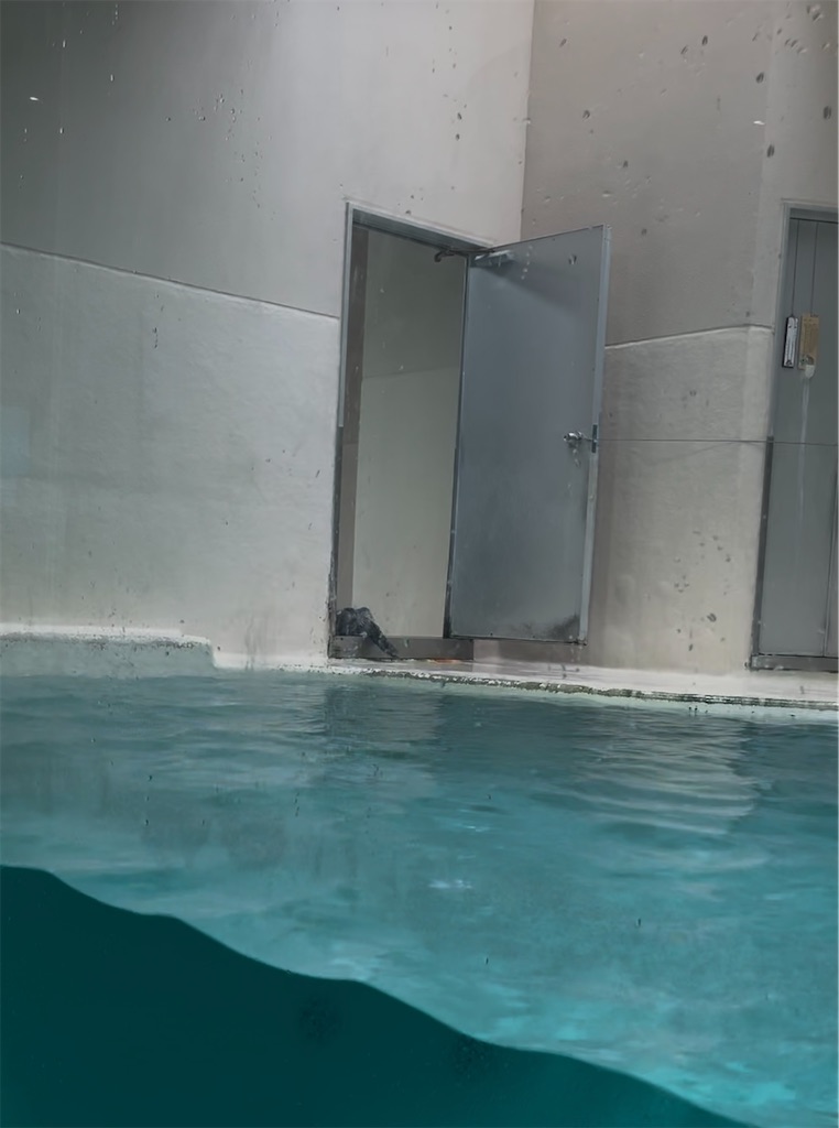 f:id:yurucat:20260603160019j:image f:id:yurucat:20260603160019j:image