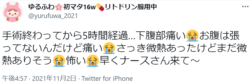 f:id:yurufuwalady:20211113194944p:plain