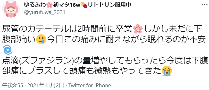 f:id:yurufuwalady:20211113195146p:plain