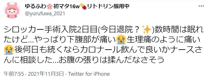 f:id:yurufuwalady:20211113195519p:plain