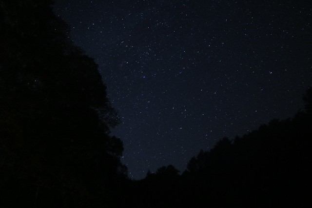 f:id:yuruhus:20201027101118j:plain