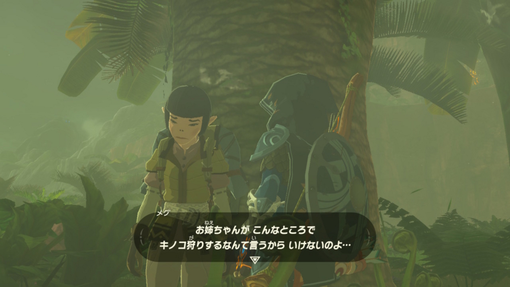 f:id:yuruiblog:20171110152435j:plain f:id:yuruiblog:20171110152435j:plain