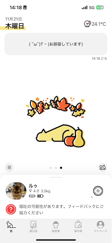 f:id:yurukaiha:20241208155403j:image f:id:yurukaiha:20241208155403j:image
