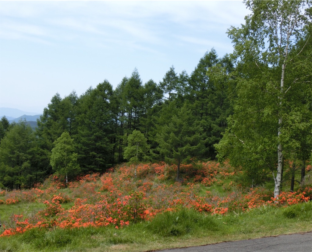 f:id:yurukeirider:20170621192706j:image f:id:yurukeirider:20170621192706j:image