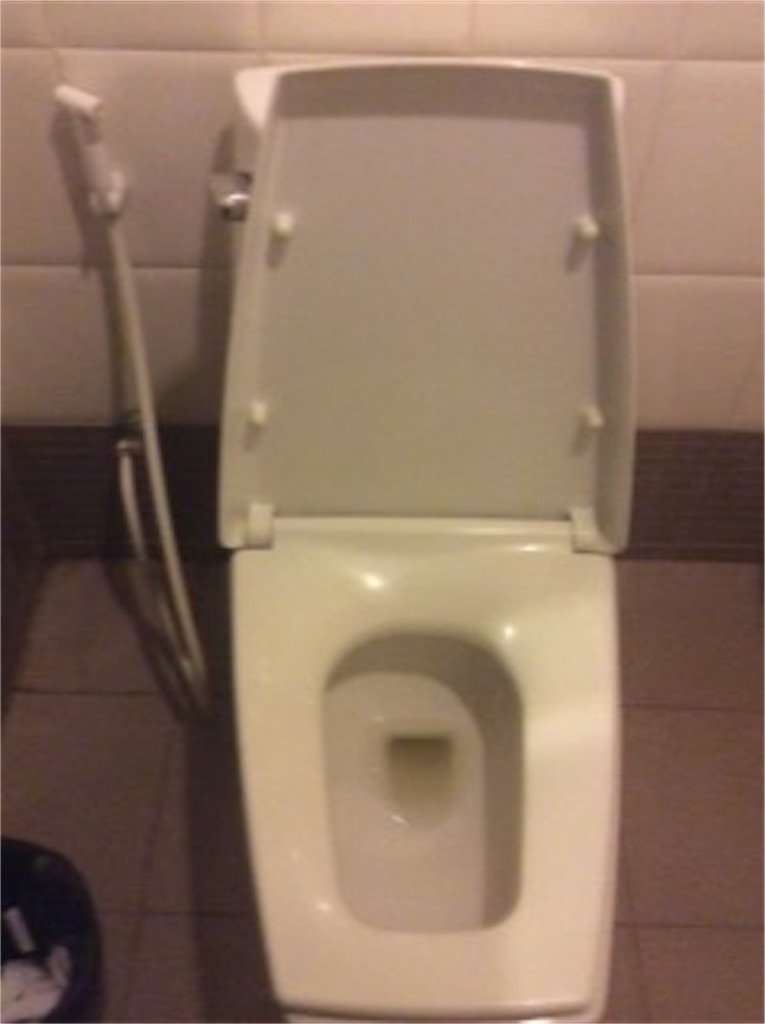 f:id:yurukkosae:20161206090103j:image