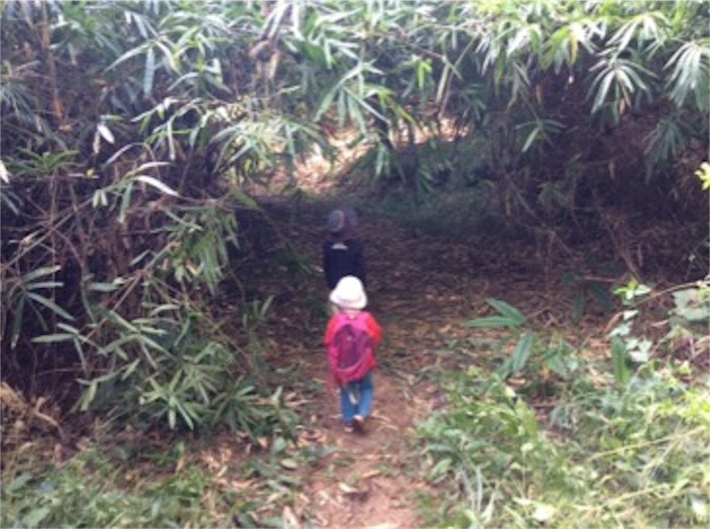 f:id:yurukkosae:20161218124437j:image