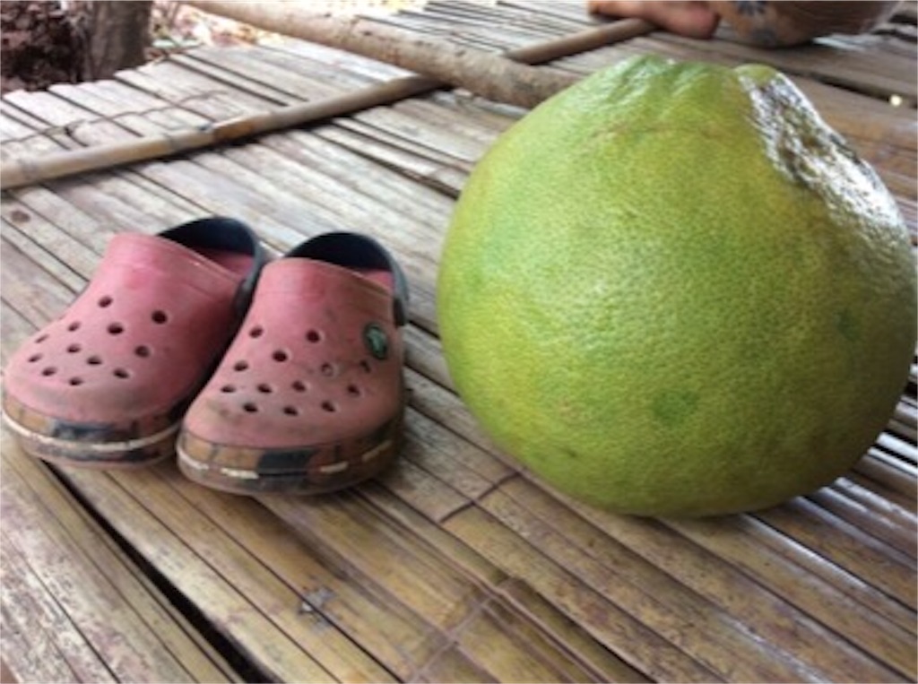 f:id:yurukkosae:20170114123026j:image f:id:yurukkosae:20170114123026j:image