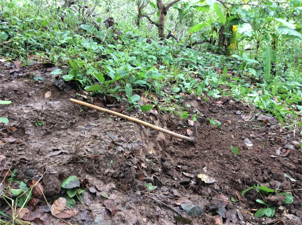 f:id:yurukkosae:20170114124047j:image f:id:yurukkosae:20170114124047j:image