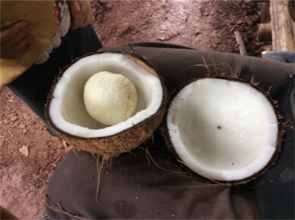 f:id:yurukkosae:20170122142944j:image