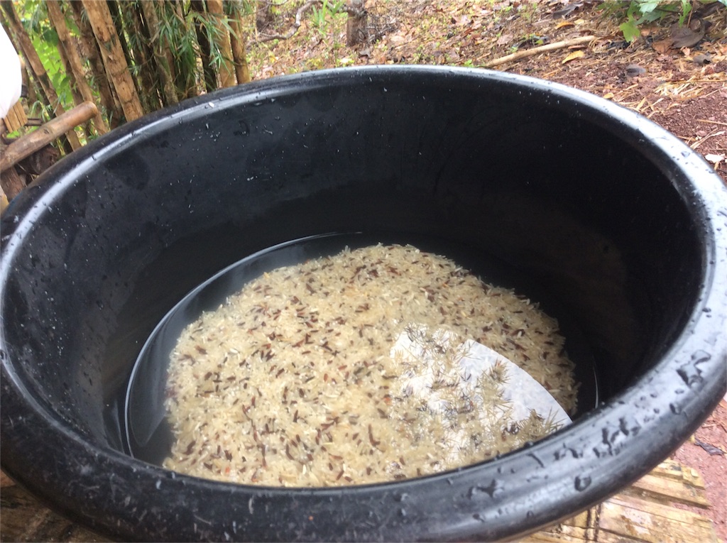 f:id:yurukkosae:20170122143044j:image