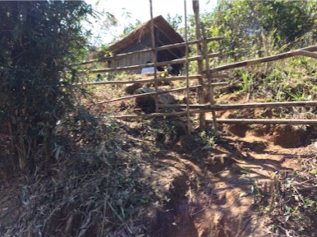 f:id:yurukkosae:20170122161219j:image f:id:yurukkosae:20170122161219j:image