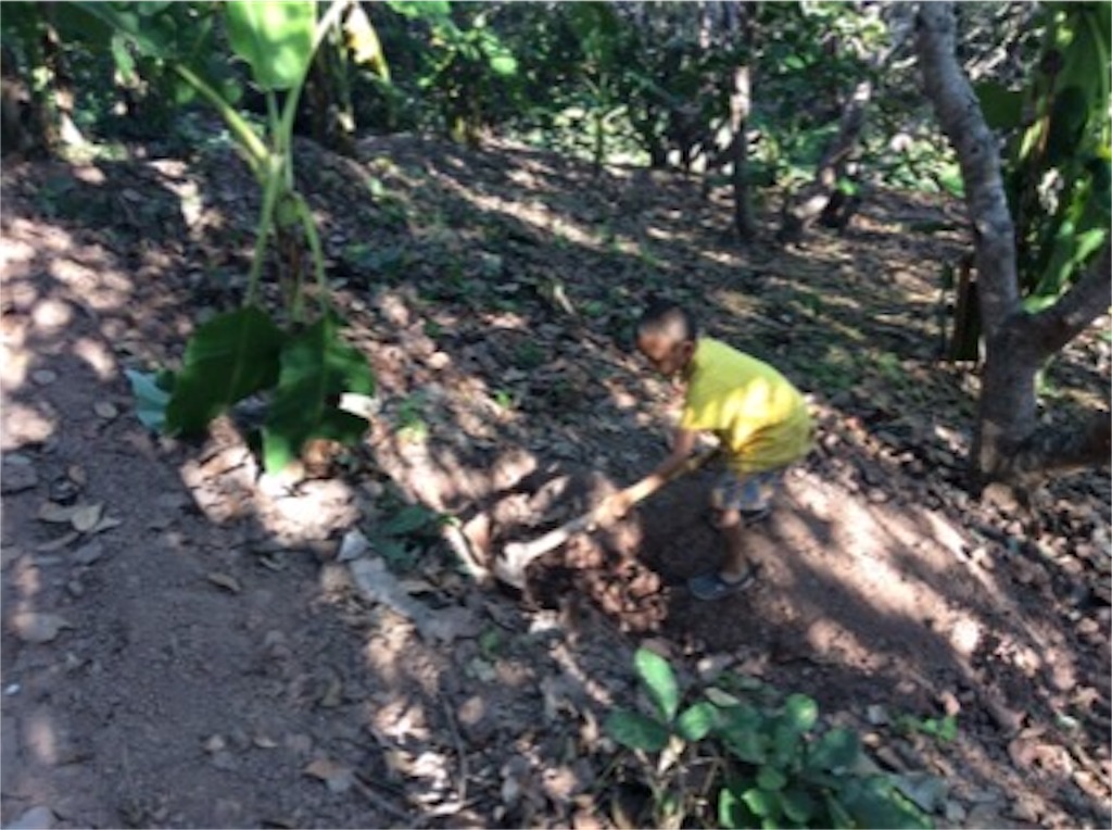 f:id:yurukkosae:20170128130054j:image