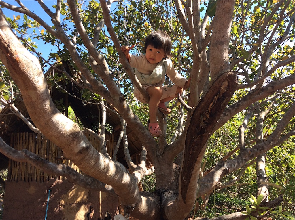 f:id:yurukkosae:20170128133329j:image f:id:yurukkosae:20170128133329j:image