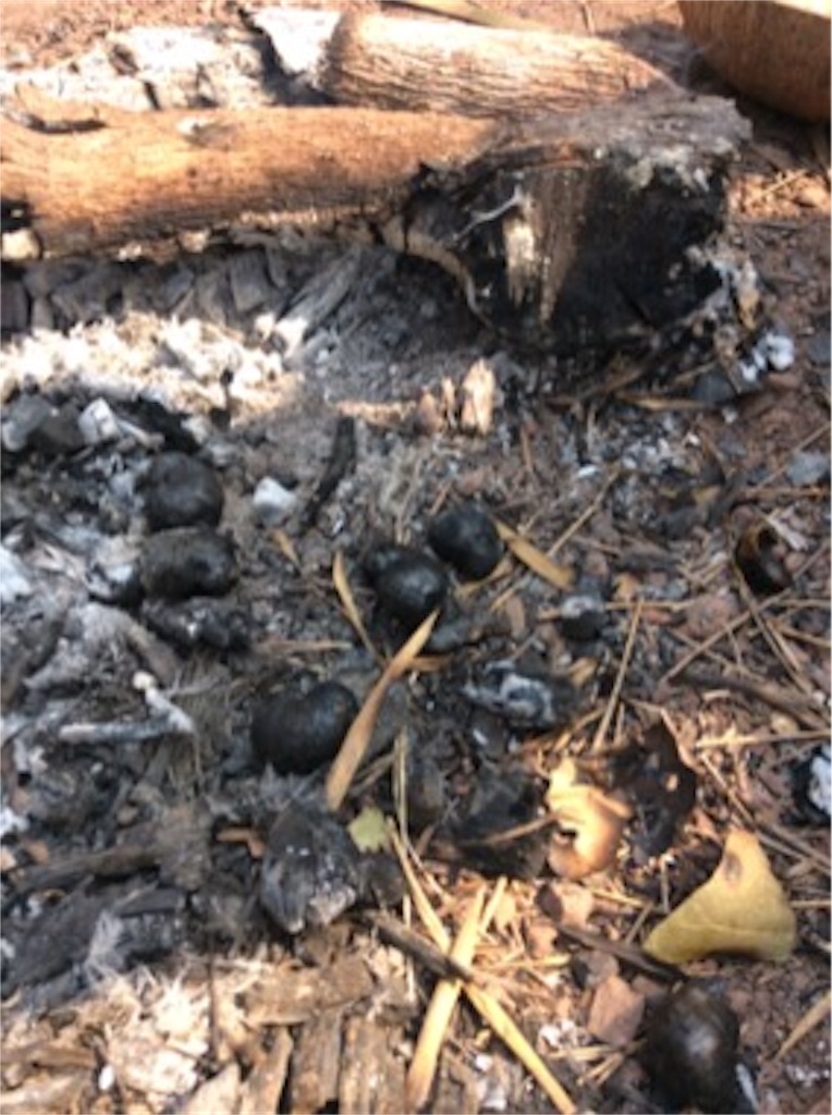 f:id:yurukkosae:20170225144403j:image