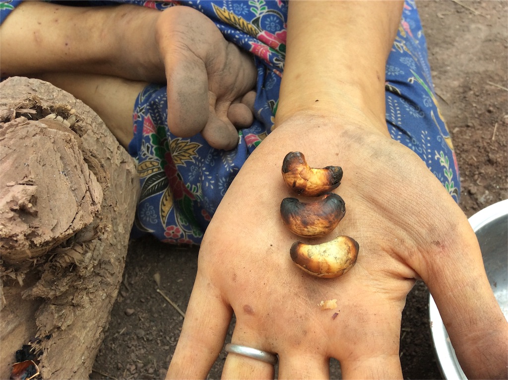 f:id:yurukkosae:20170225144723j:image