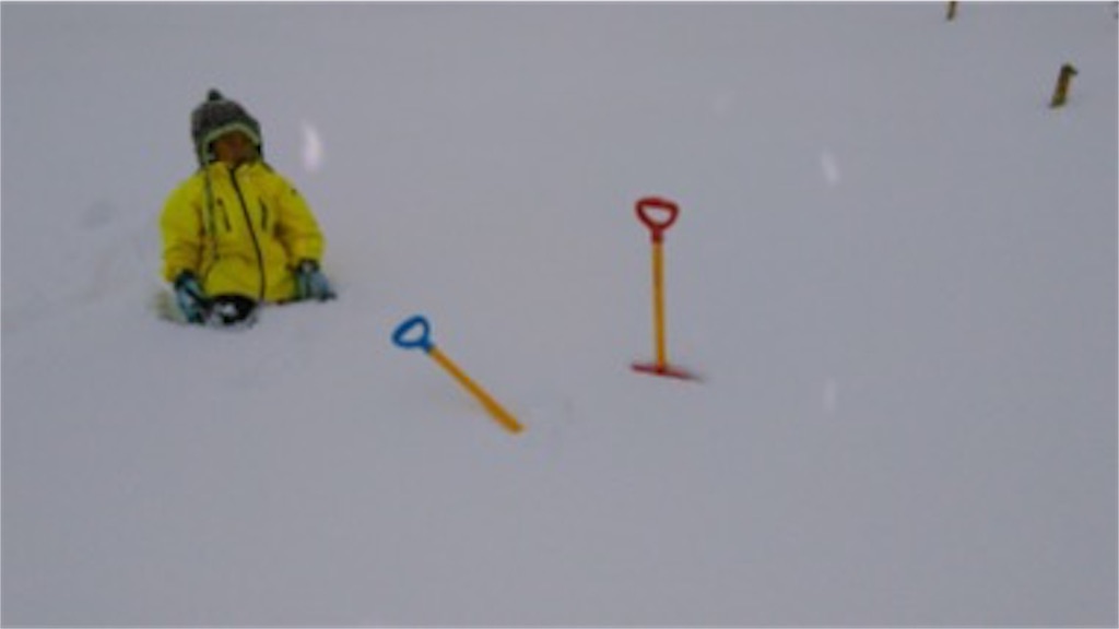 f:id:yurukkosae:20170323202901j:image f:id:yurukkosae:20170323202901j:image