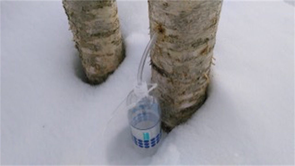 f:id:yurukkosae:20170330060033j:image f:id:yurukkosae:20170330060033j:image