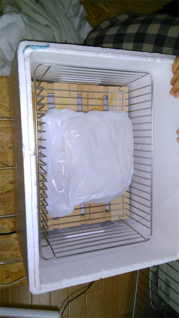 f:id:yurukkosae:20170405050343j:image