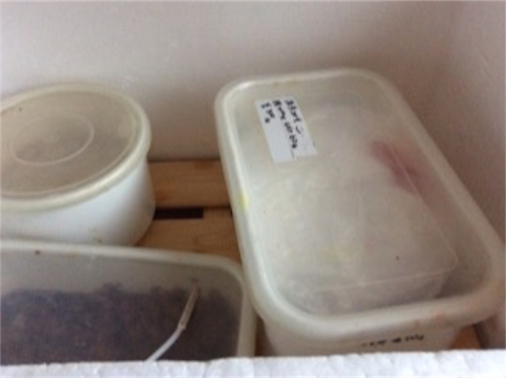 f:id:yurukkosae:20170416053421j:image