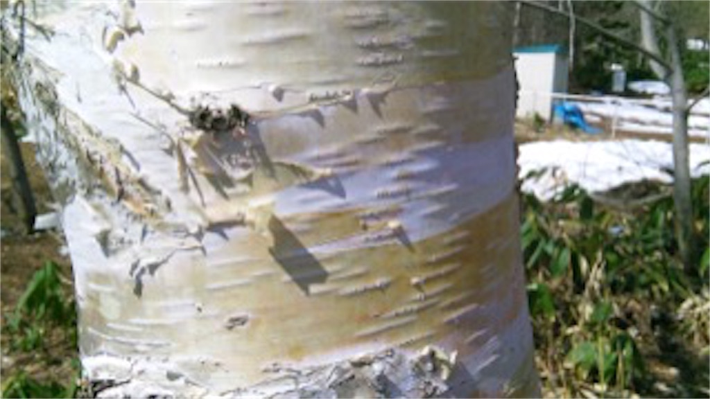 f:id:yurukkosae:20170424042746j:image